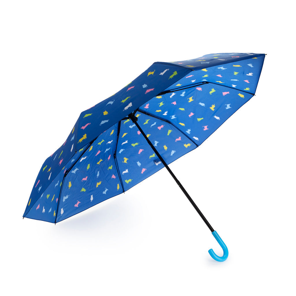 Parapluie enfant Meowmbrella