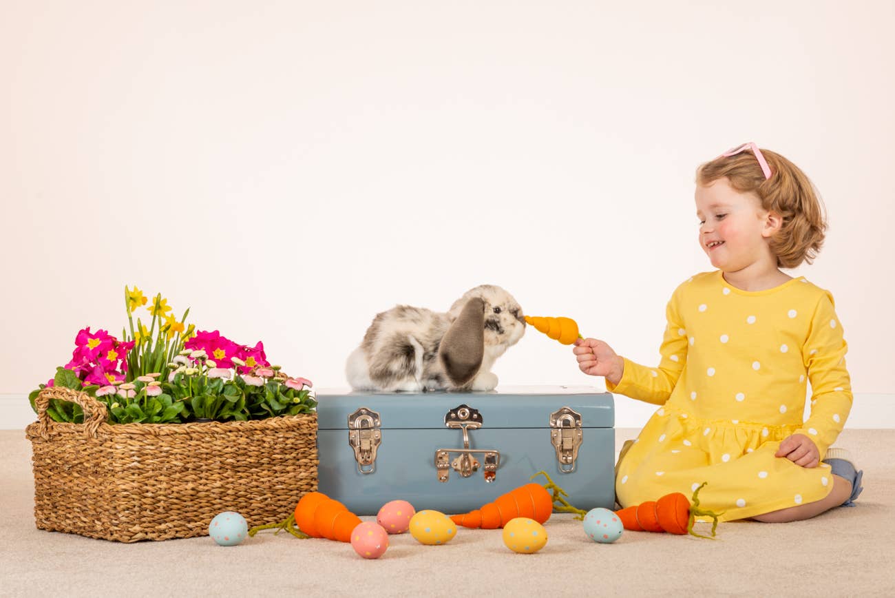 Grau-weißes Schlappohr-Plüschtier