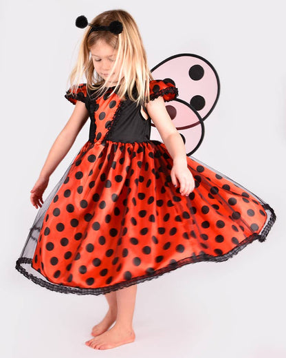 Ladybug Dress W. Acc. 110-116 Size 4-6 years