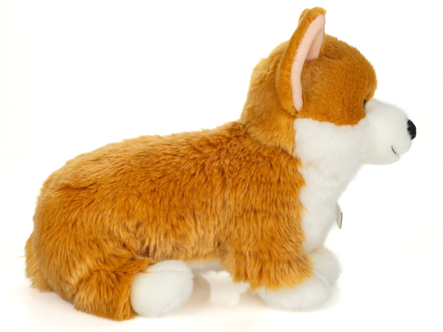 Corgi Plush Toy