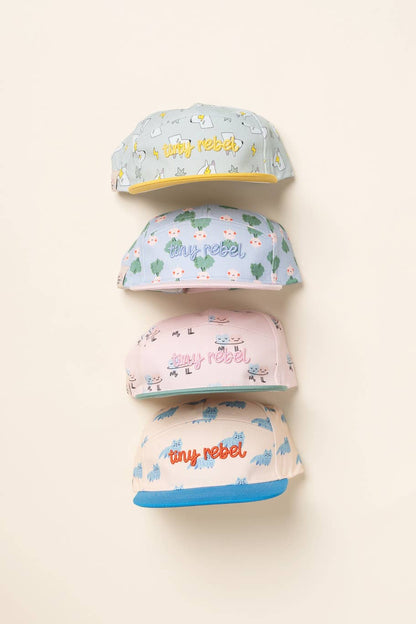 Chapeau Chats Miaoutifiques