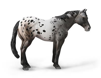 Collecta Chevaux (1:20 XL): APPALOOSA ROUAN 14x10cm