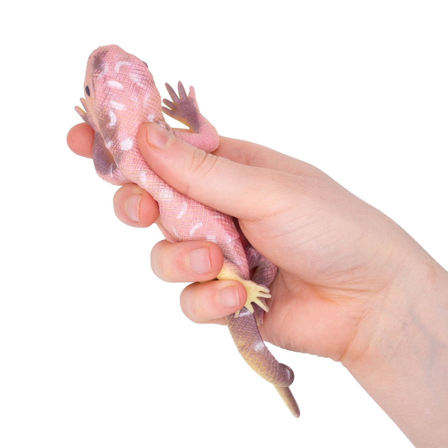 LÉZARDS QUI CHANGENT DE COULEUR
