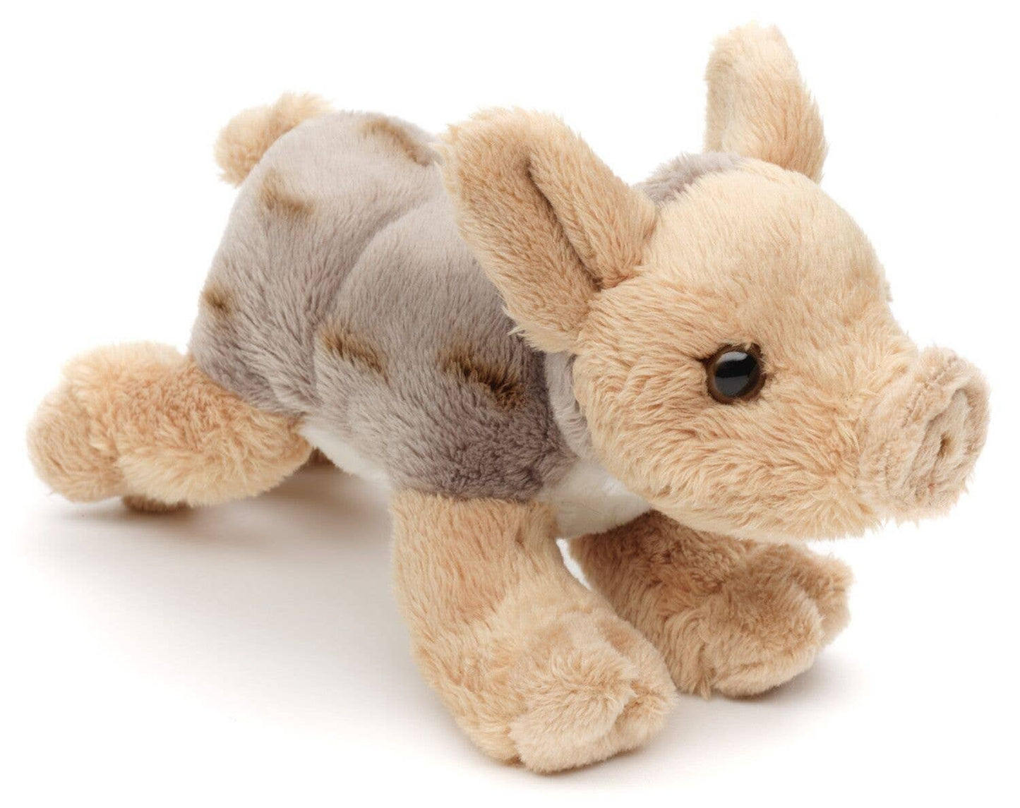 Wild Boar Plush Toy