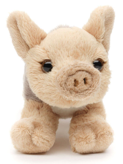 Wild Boar Plush Toy