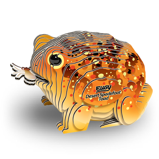 eugy 117 desert spadefoot toad