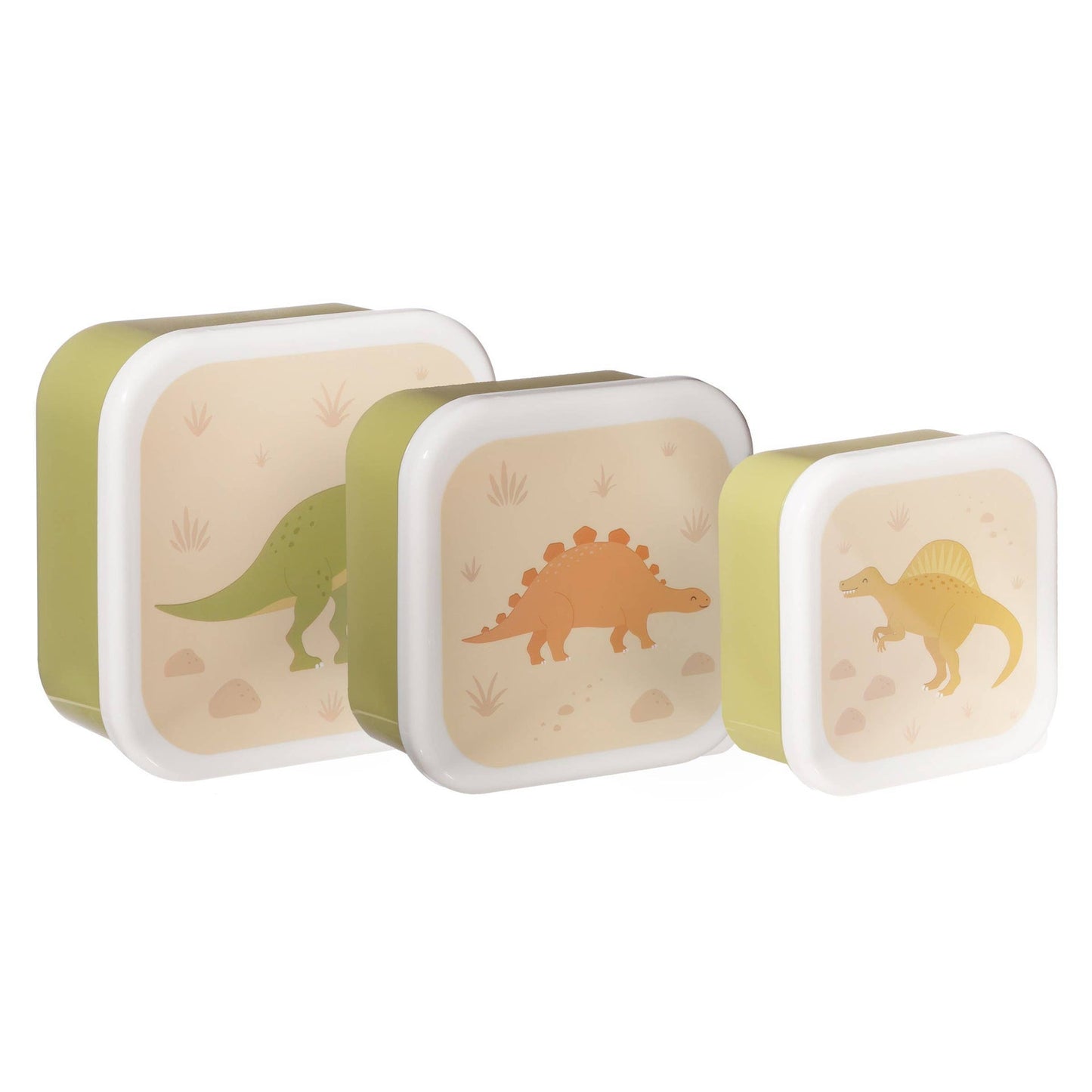 Dinosaurier-Wüsten-Lunchboxen – 3er-Set