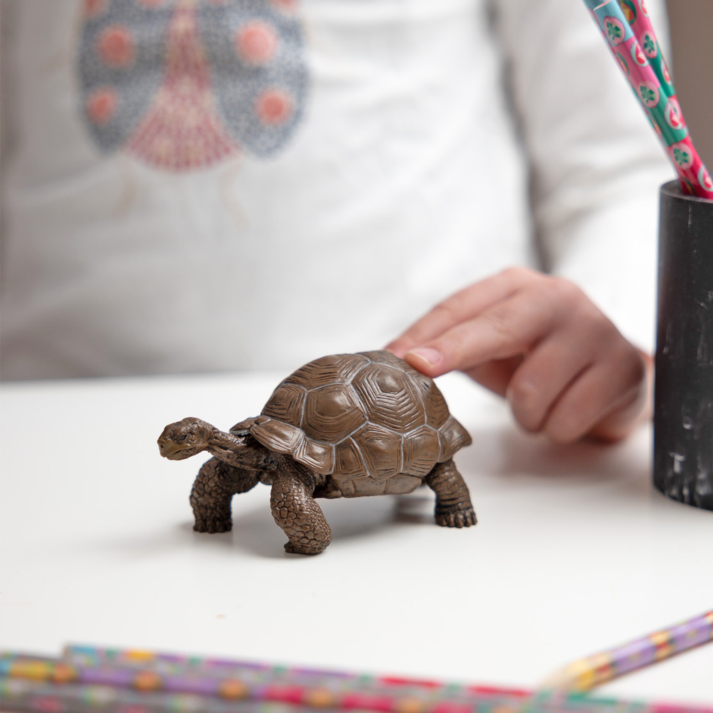 Figurine Tortue des Galápagos