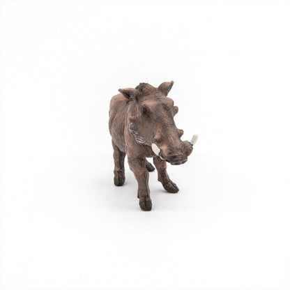 Figurine Phacochère Papo - animal sauvage