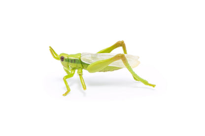 Figurine Sauterelle Papo - animal du jardin