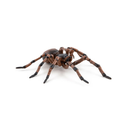 Figurine Araignée commune Papo - animal du jardin