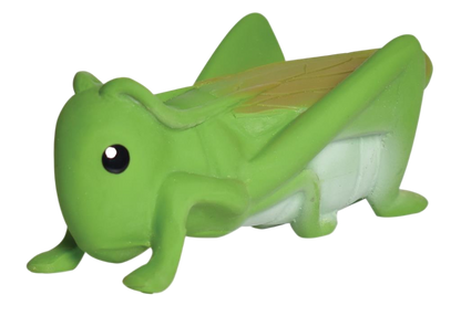 Mein erster Heuschreckeninsekt