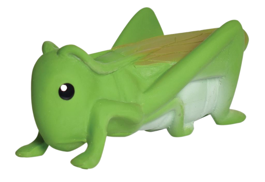 Mon Premier Insecte Sauterelle