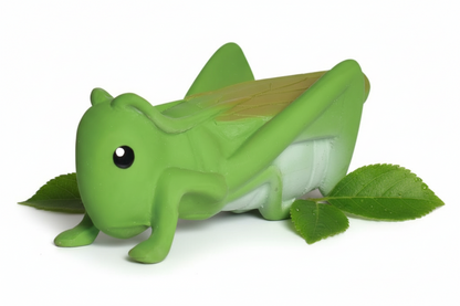 Mein erster Heuschreckeninsekt