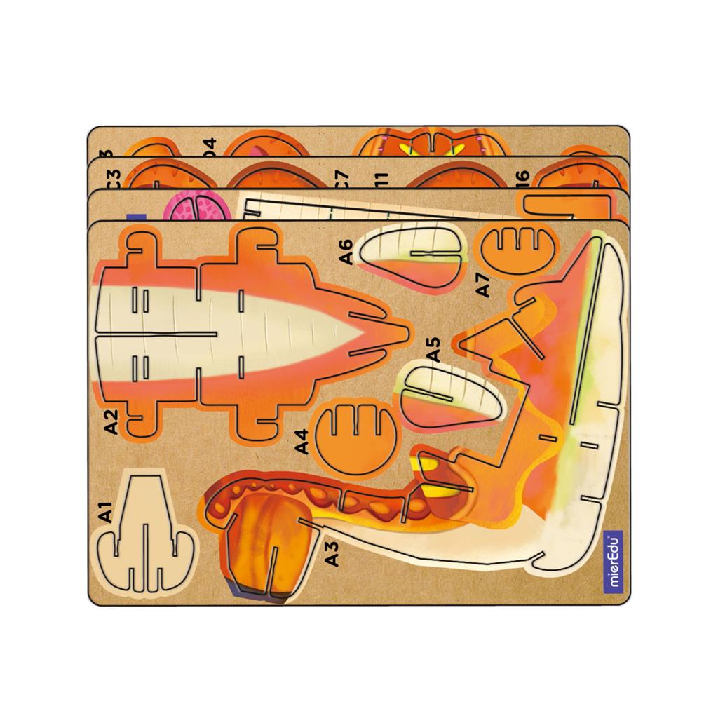 3D Puzzle Construction - Brachiosaurus