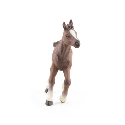 Figurine Poulain anglo-arabe