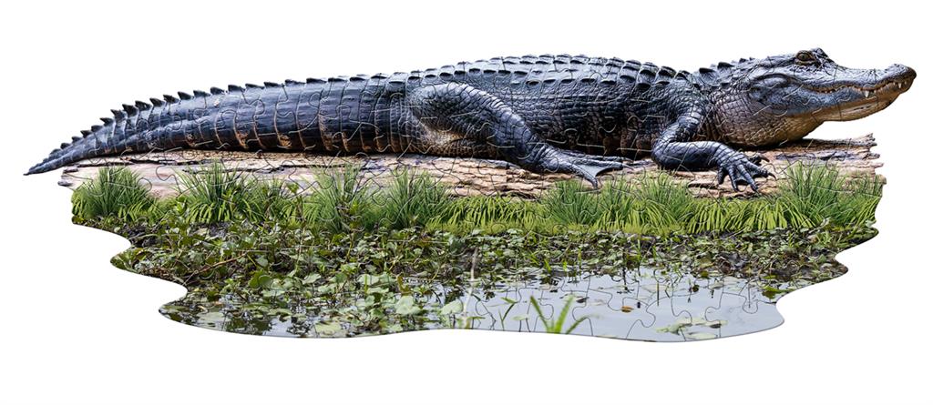 Alligator-Puzzle