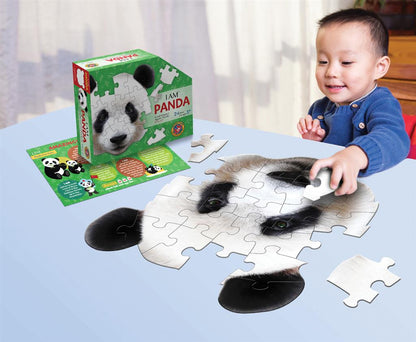 Panda Puzzle
