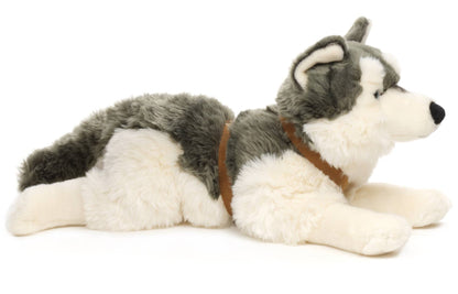 Husky-Plüschtier, liegend (mit Geschirr)