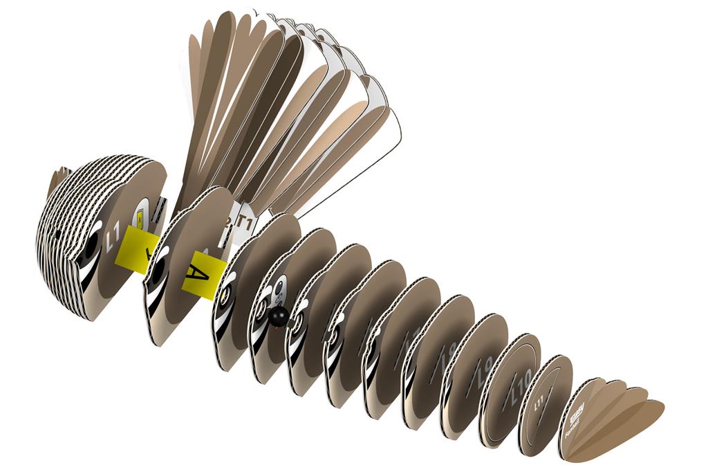 EUGY 3D - Collared Horsetail