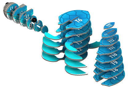 EUGY 3D - Meeresschildkröte