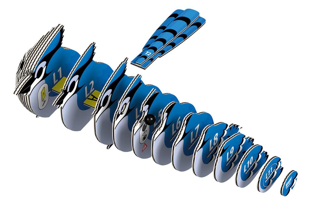 EUGY 3D - Blauhäher