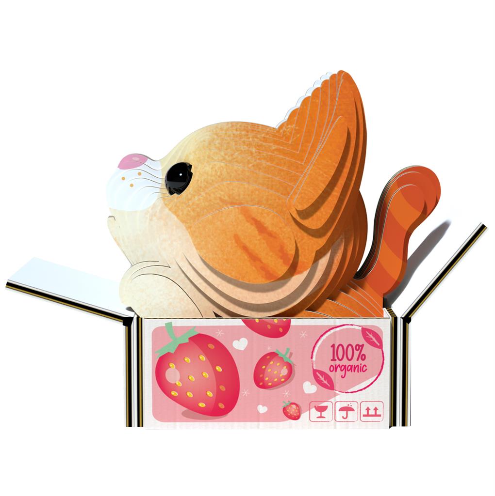 EUGY 3D - Cats - Pumpkin