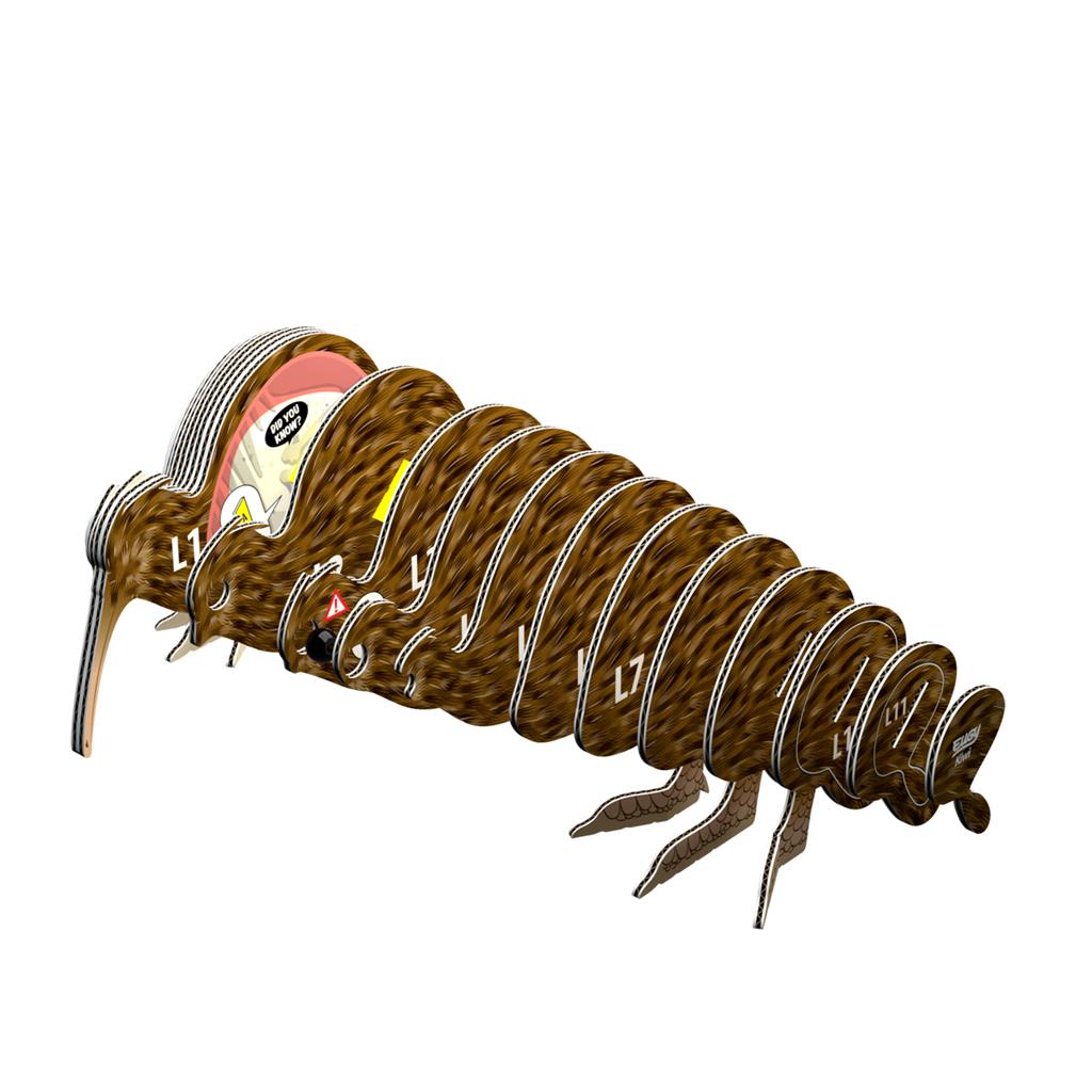 EUGY 3D - Kiwi
