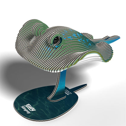 EUGY 3D - Raie