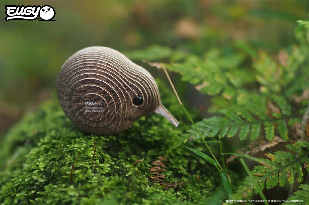 EUGY 3D - Brown Kiwi