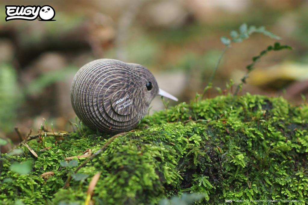 EUGY 3D - Brown Kiwi