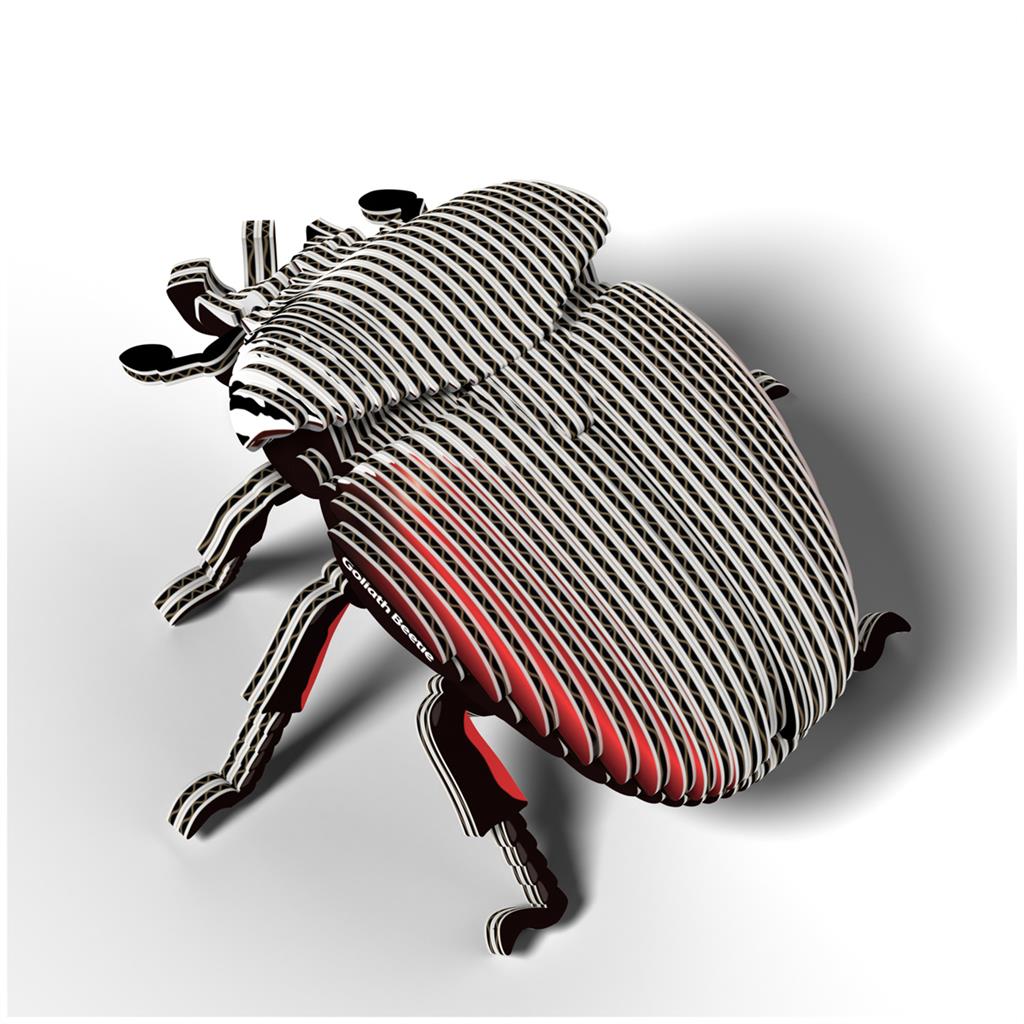 EUGY 3D - Coléoptère Goliath