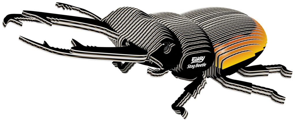 EUGY 3D - Coléoptère Lucanidae