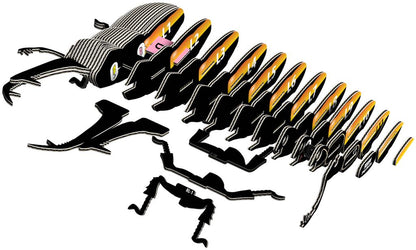 EUGY 3D - Coléoptère Lucanidae