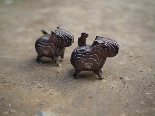 EUGY 3D - Wasserschwein