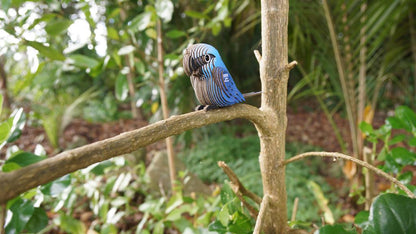 EUGY 3D - Spix's Macaw