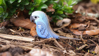 EUGY 3D - Spix's Macaw