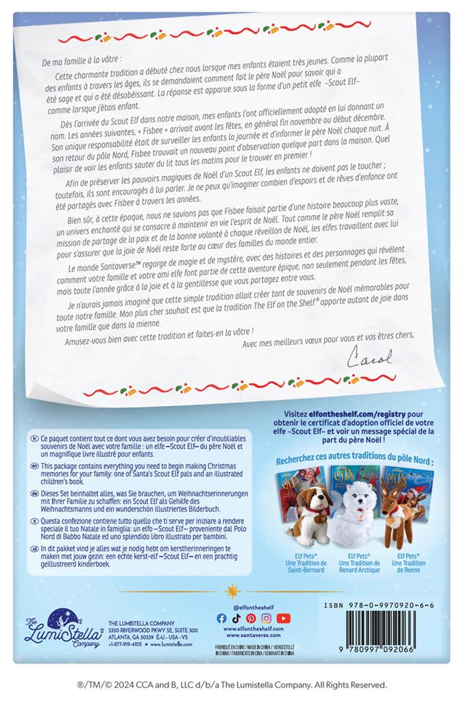 Der Elf im Regal - Französischer Junge