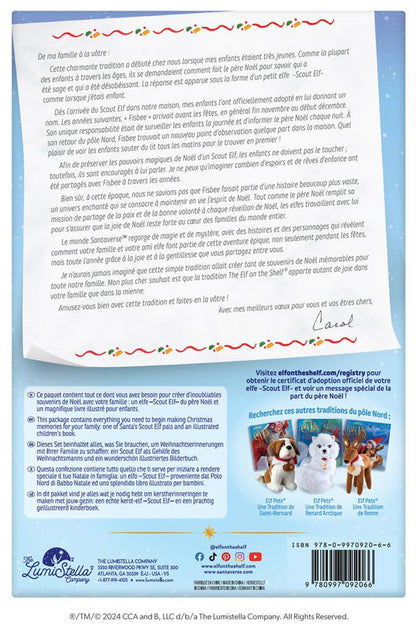 Der Elf im Regal - Französischer Junge