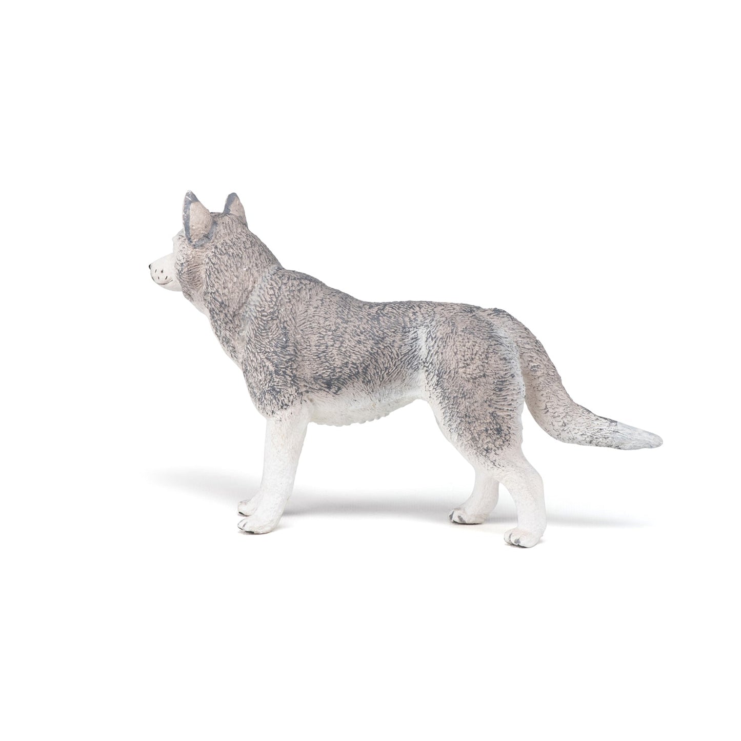Figurine Husky de Sibérie