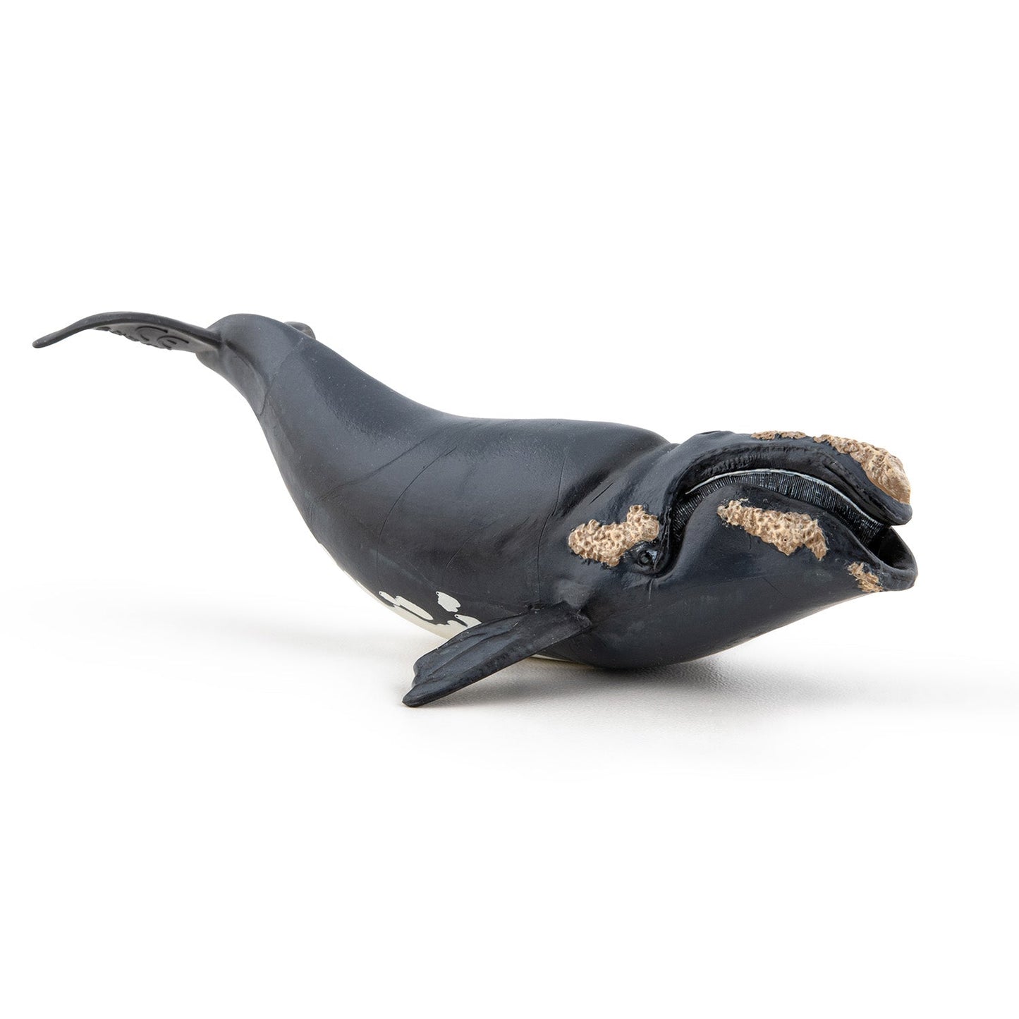 Figurine Baleine franche