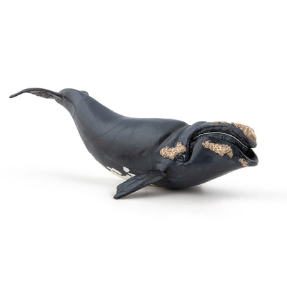 Figurine Baleine franche
