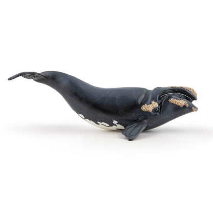 Figurine Baleine franche