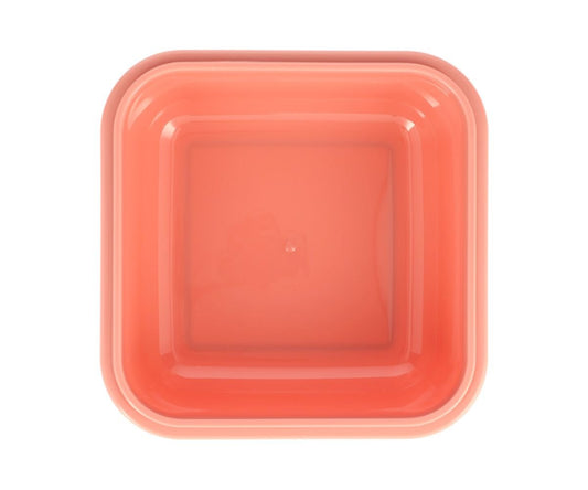 Große Wild Fairies Lunchbox