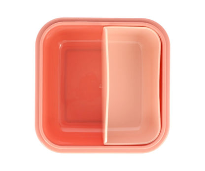 Große Wild Fairies Lunchbox