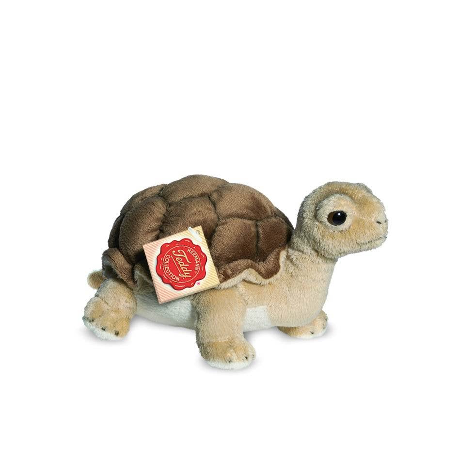 Schildkrötenplüschtier