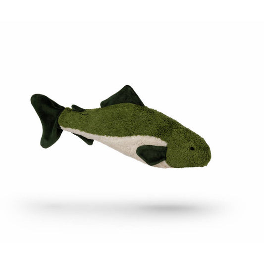 Kleine kuschelige grüne Tannenfische | Senger-Naturwelt