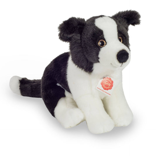 Plüschhalsband für Border Collie Welpen