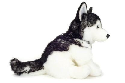 Peluche Husky Assis – 30 cm - Teddy Hermann