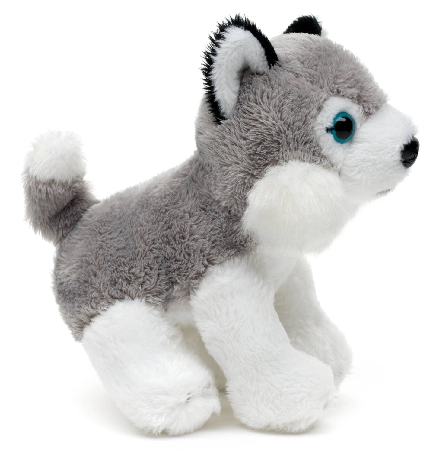 Sitting Husky Plush Toy